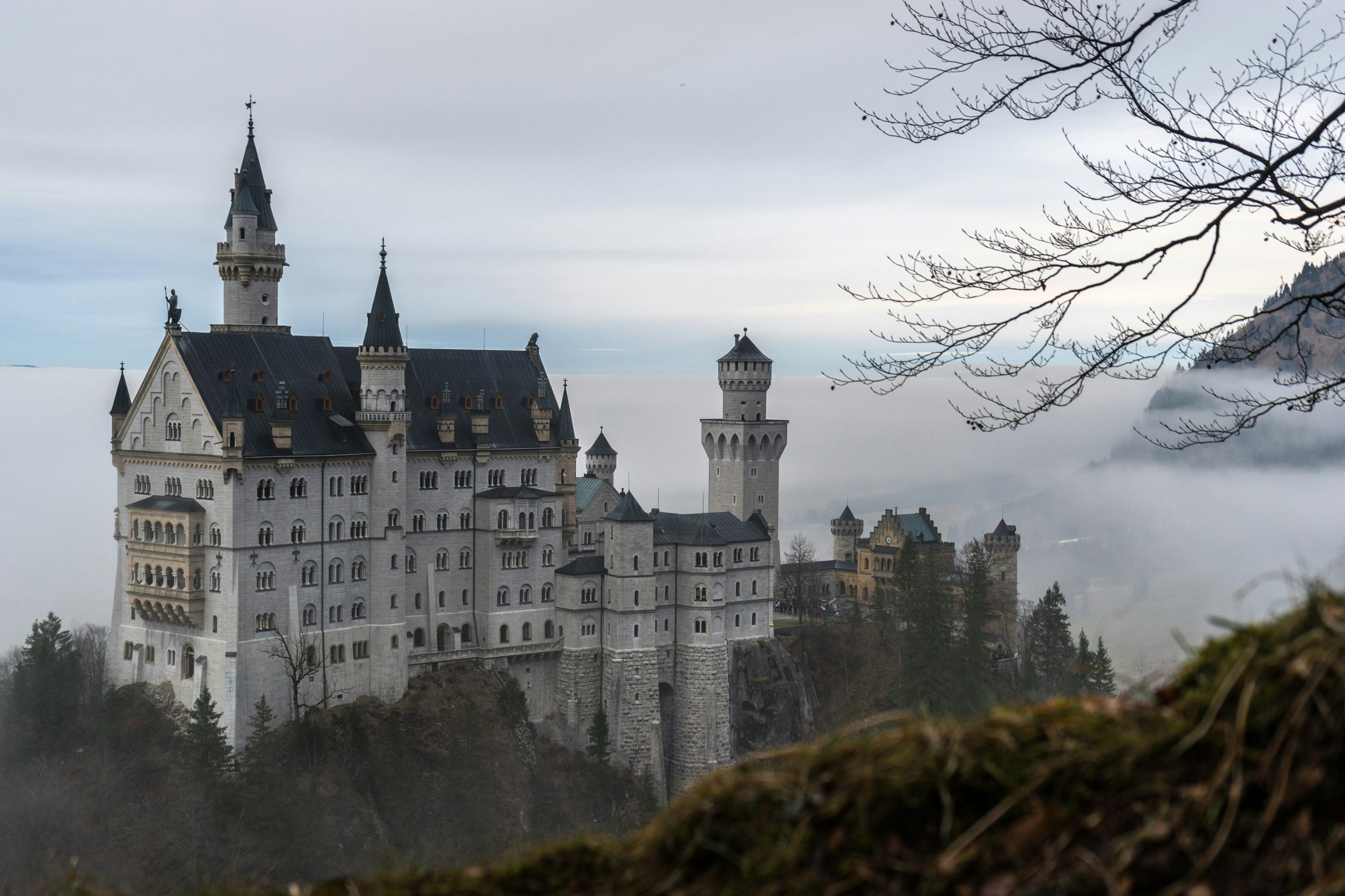 A majestic castle perched on a cliff, surrounded by dense fog and bare tree branches. Its towers and ornate architecture stand tall against a cloudy sky, with a dramatic view of the distant landscape partially obscured by mist.